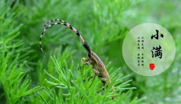 上?？婆d儀器